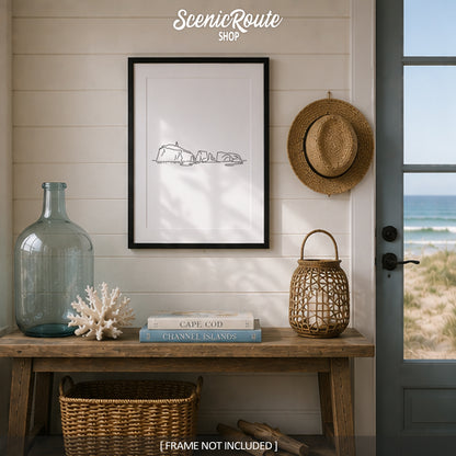 Channel Islands National Park, California Art Print
