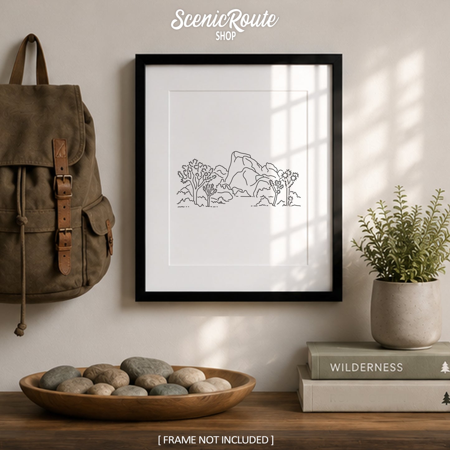 Joshua Tree National Park, California Art Print