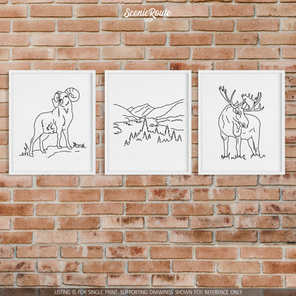 A group of three framed drawings on a brick wall. The line art drawings include a Longhorn Sheep, North Cascades National Park, and Moose