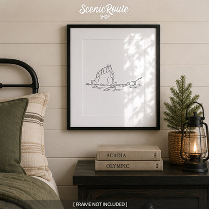Olympic National Park, Washington Art Print
