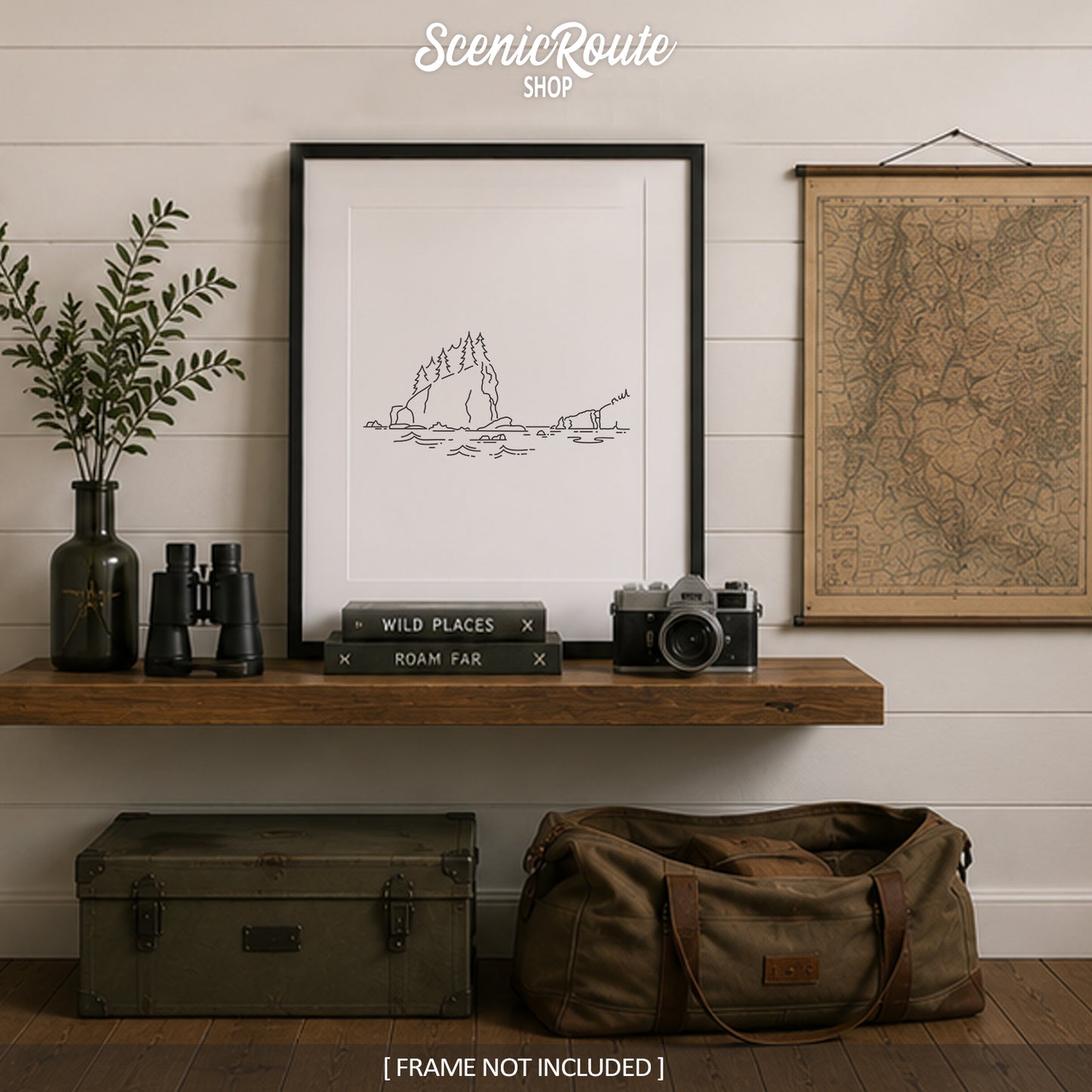 Olympic National Park, Washington Art Print