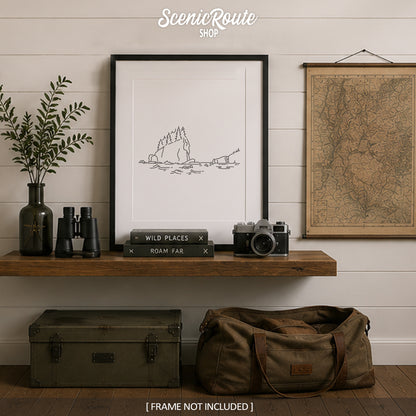 Olympic National Park, Washington Art Print