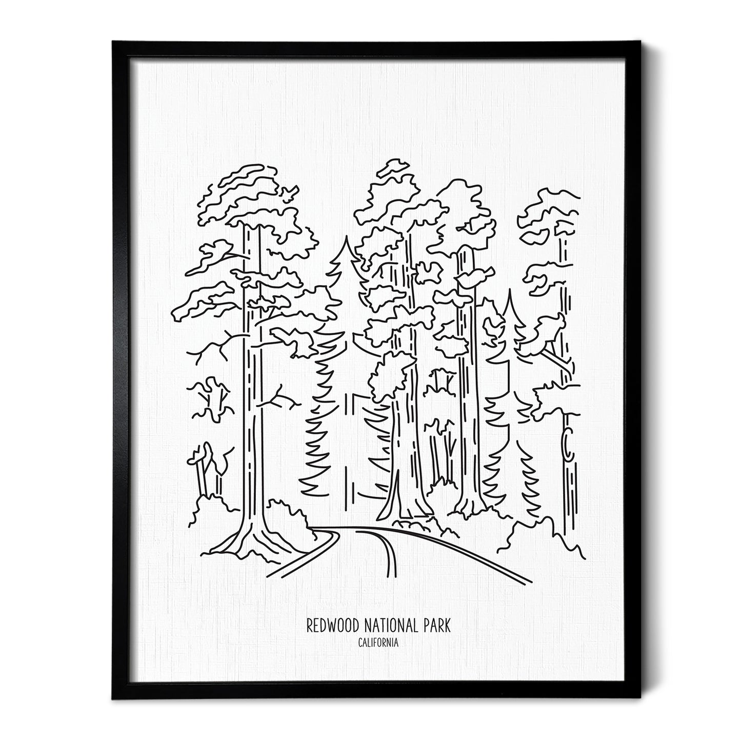 Redwood National Park, California Art Print
