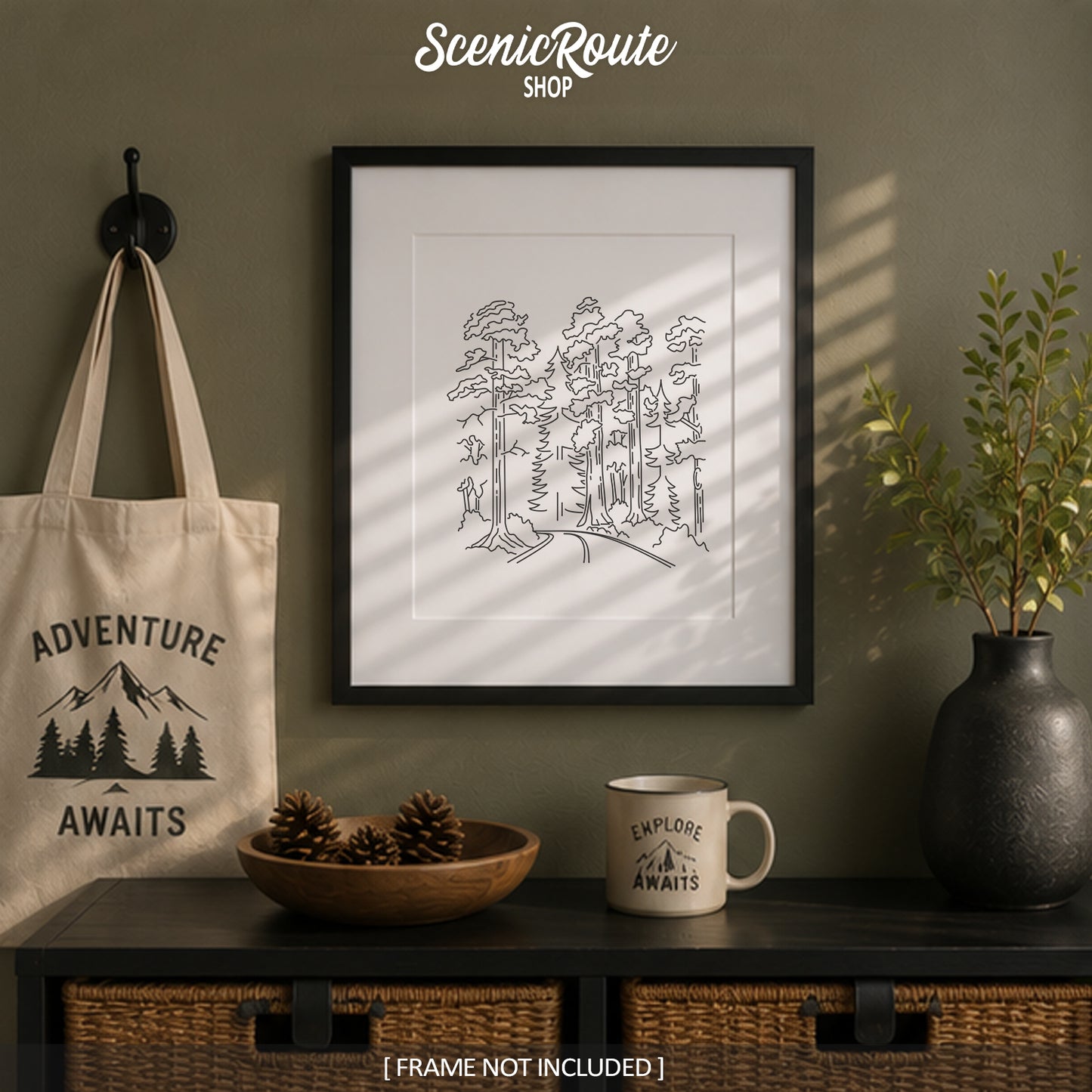 Redwood National Park, California Art Print