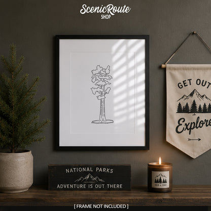 Sequoia National Park, California Art Print