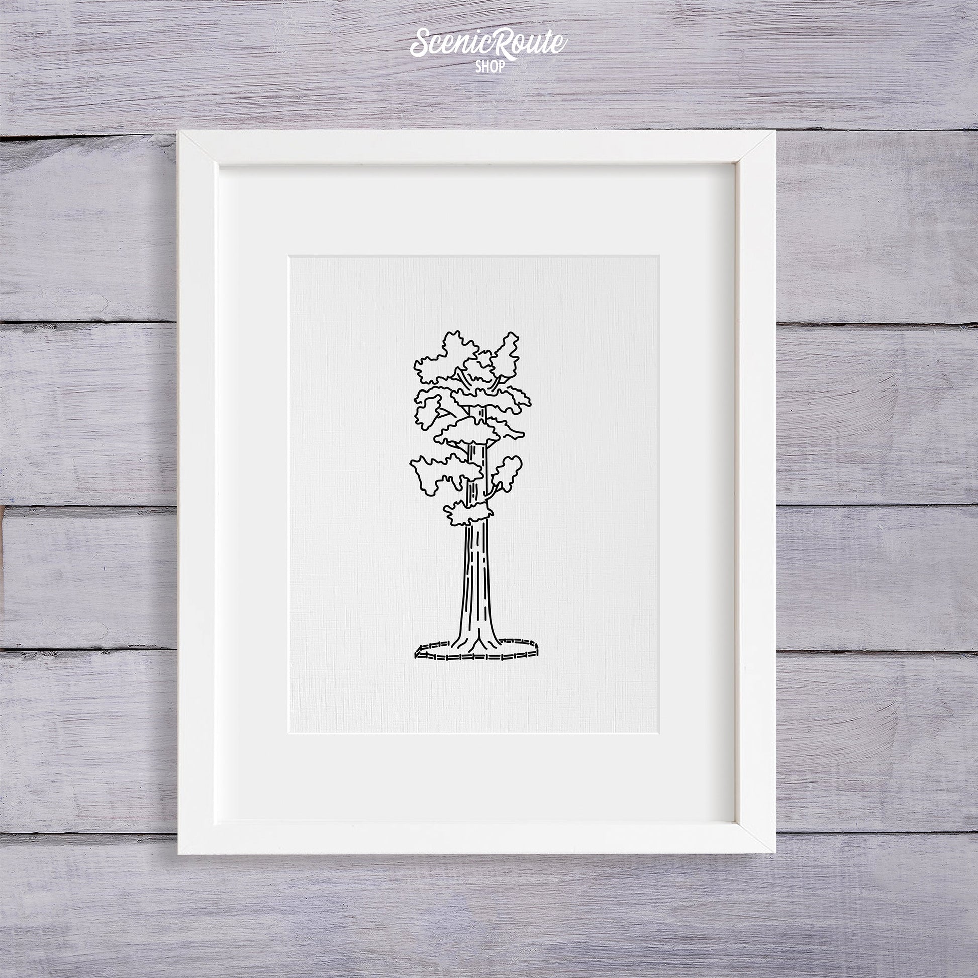 A framed line art drawing of Sequoia National Park on a wood wall