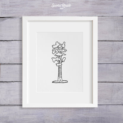 A framed line art drawing of Sequoia National Park on a wood wall