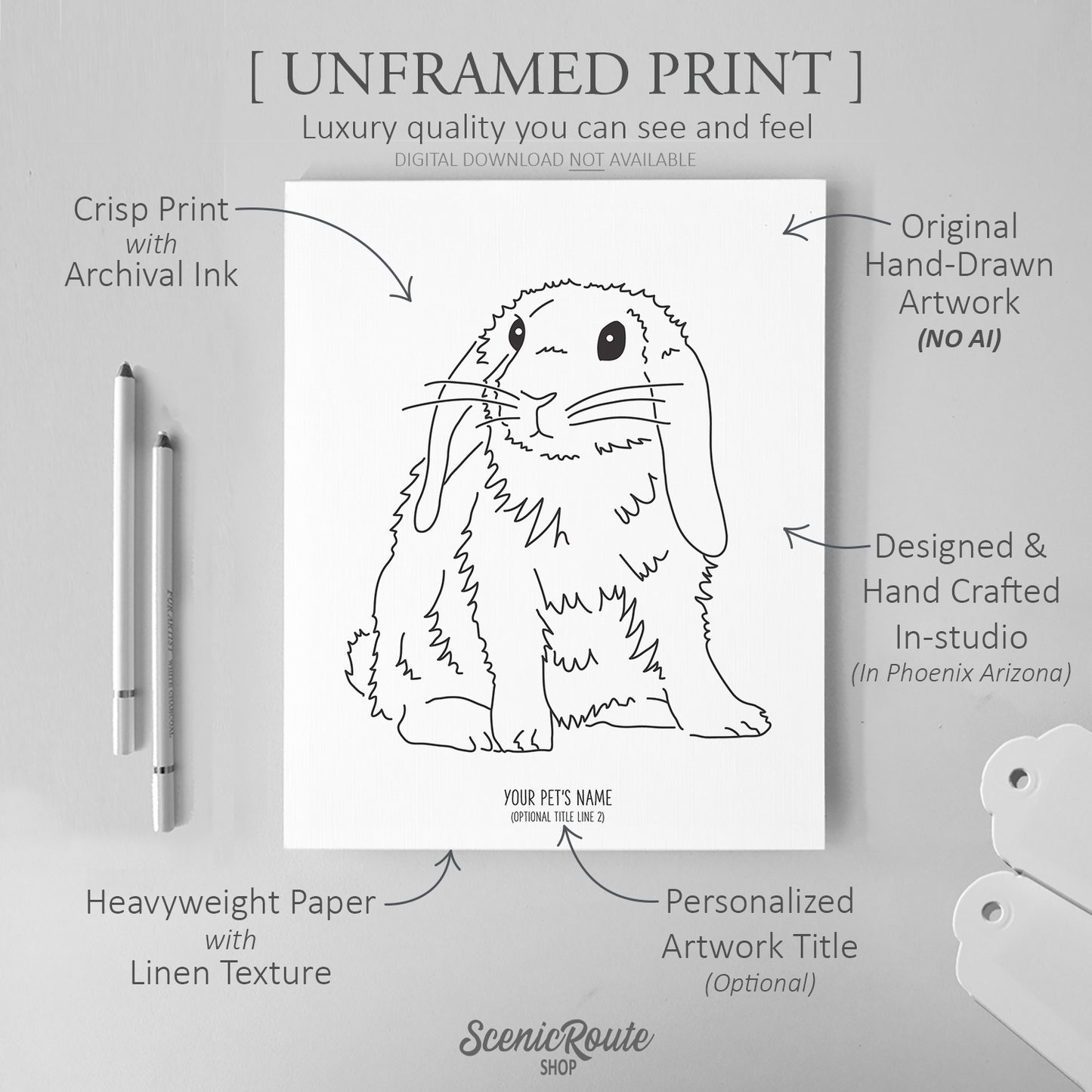 Mini Lop Rabbit Art Print