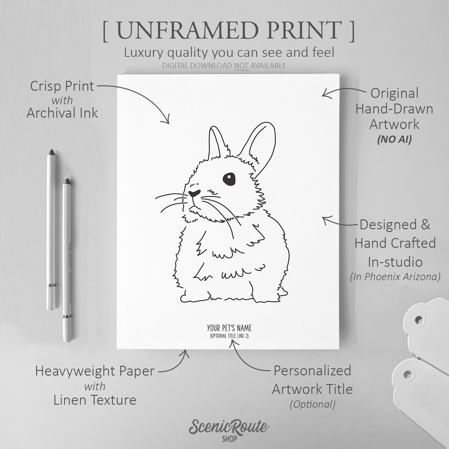 Netherland Dwarf Rabbit Art Print