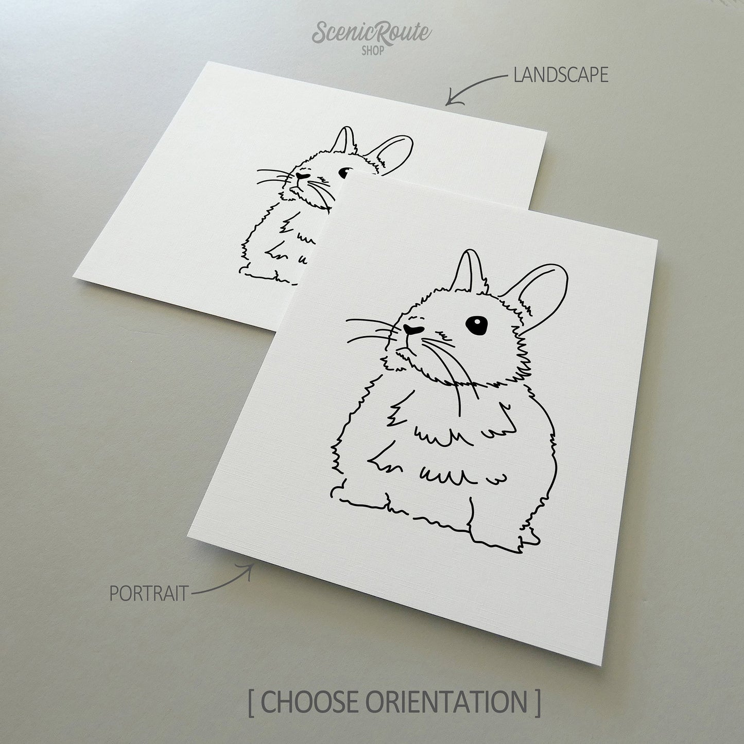 Two line art drawings of a Netherland Dwarf Rabbit on white linen paper with a gray background.  The pieces are shown in portrait and landscape orientation for the available art print options.