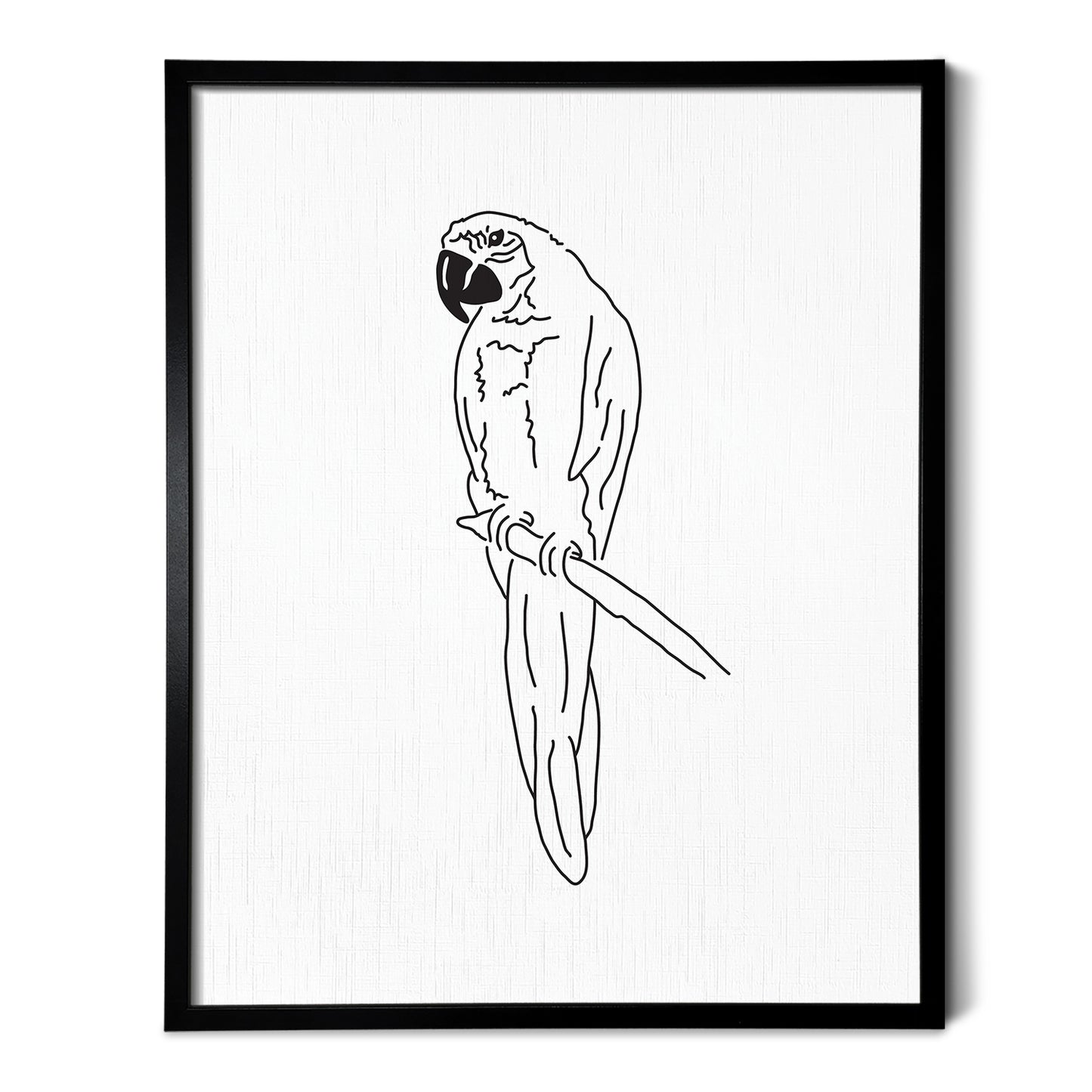 Parrot Art Print