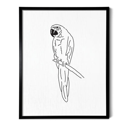 Parrot Art Print