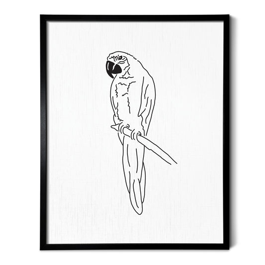 Parrot Art Print