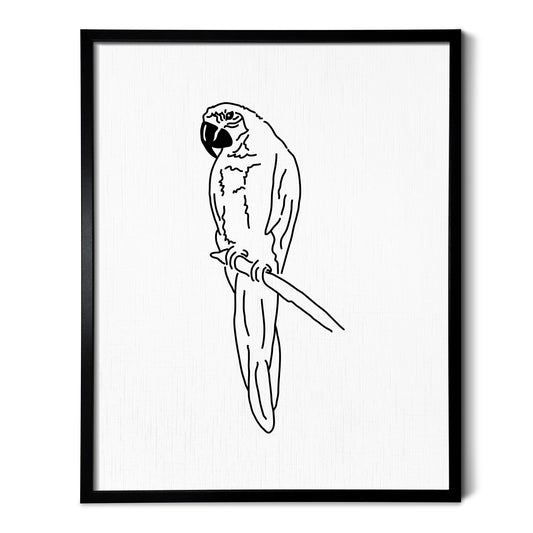 A line art drawing of a Parrot on white linen paper in a thin black picture frame