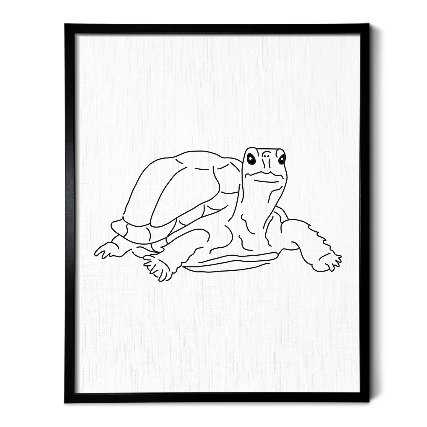 Tortoise Art Print
