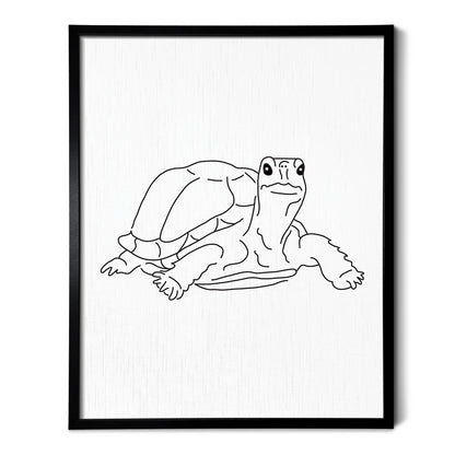 Tortoise Art Print