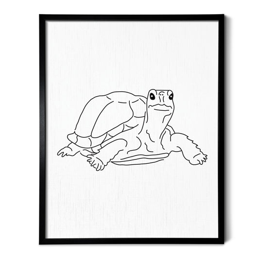 Tortoise Art Print
