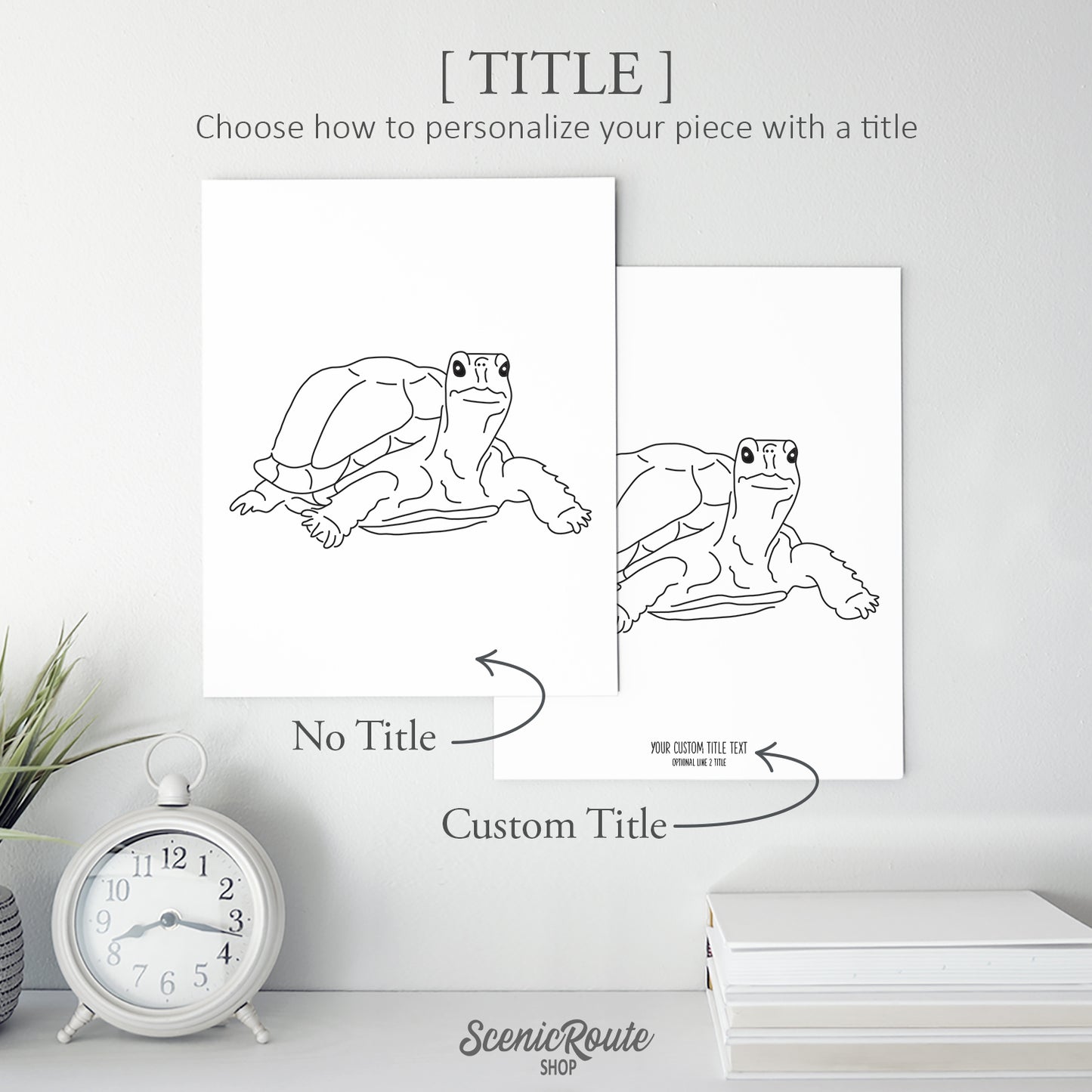Tortoise Art Print