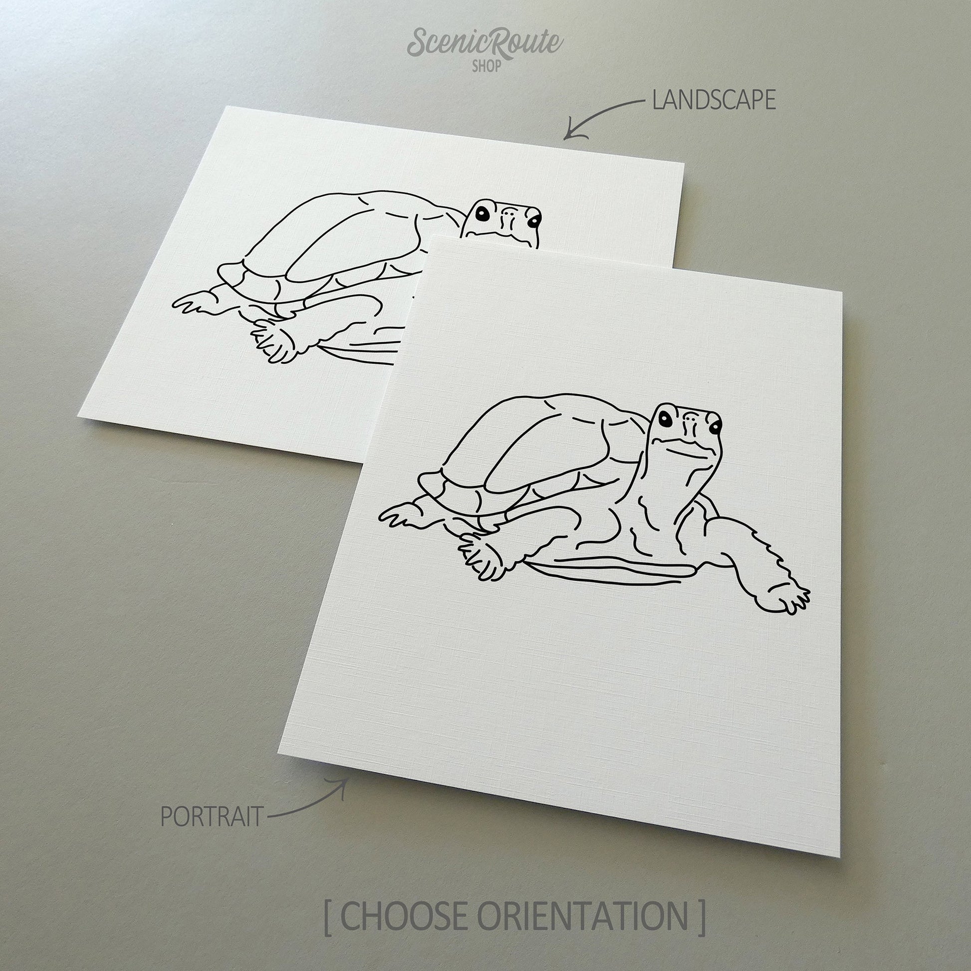Two line art drawings of a Tortoise on white linen paper with a gray background.  The pieces are shown in portrait and landscape orientation for the available art print options.