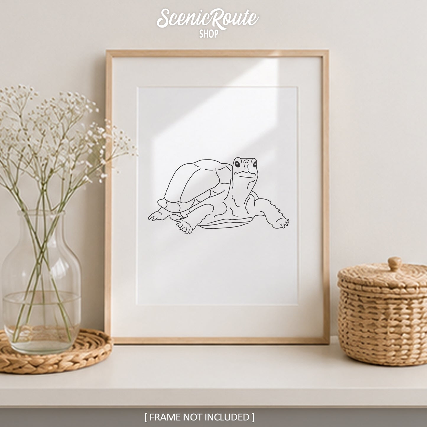 Tortoise Art Print
