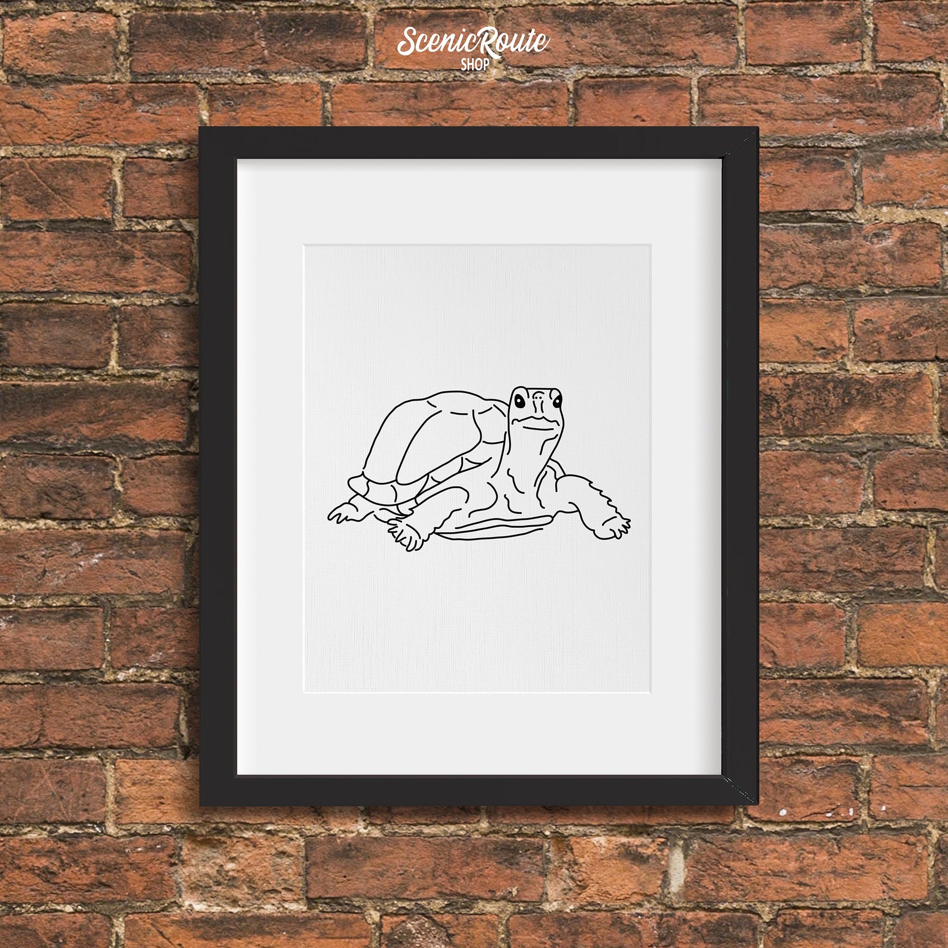 A framed line art drawing of a Tortoise on a brick wall