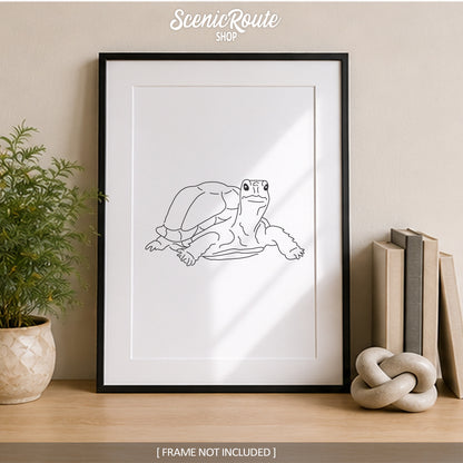Tortoise Art Print