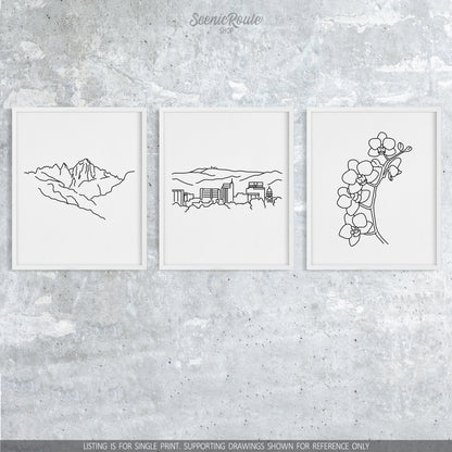 A group of three framed drawings on a concrete wall. The line art drawings include  Mount Whitney, Boise Skyline, and Orchid Flower