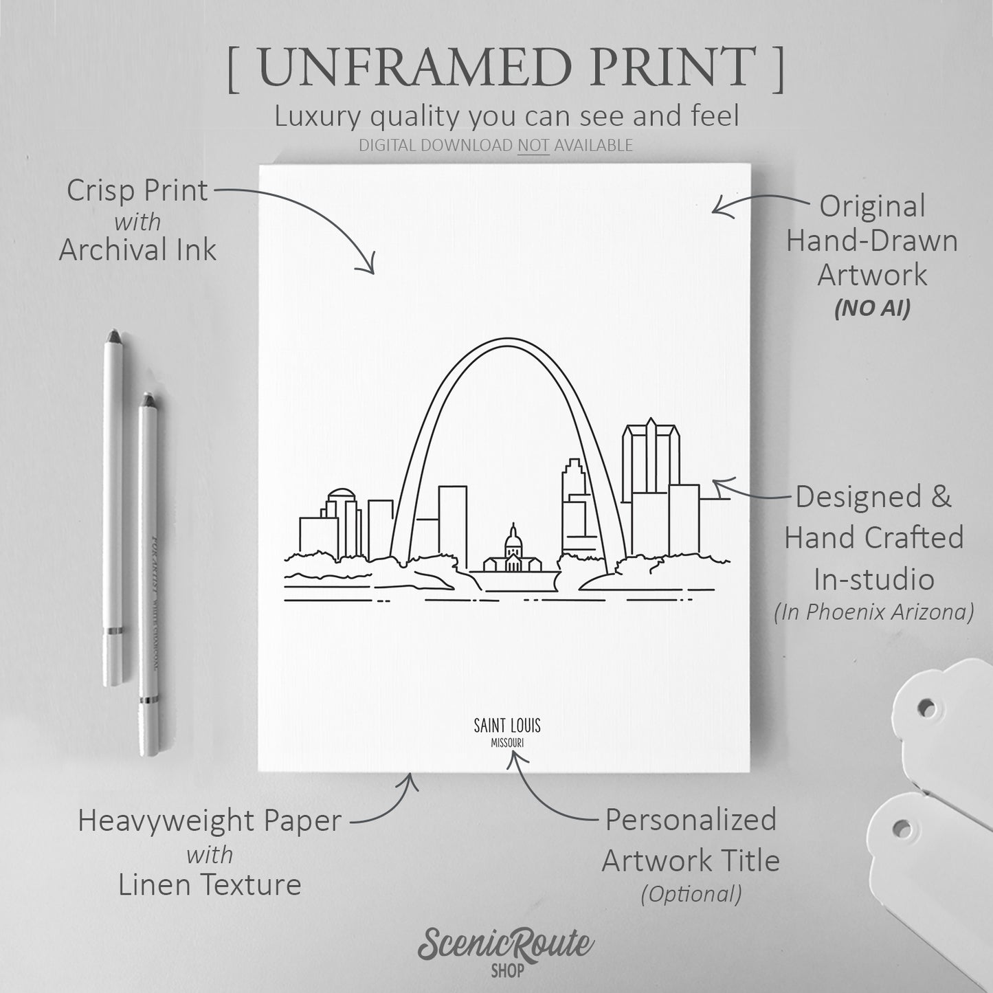 Saint Louis Missouri Art Print