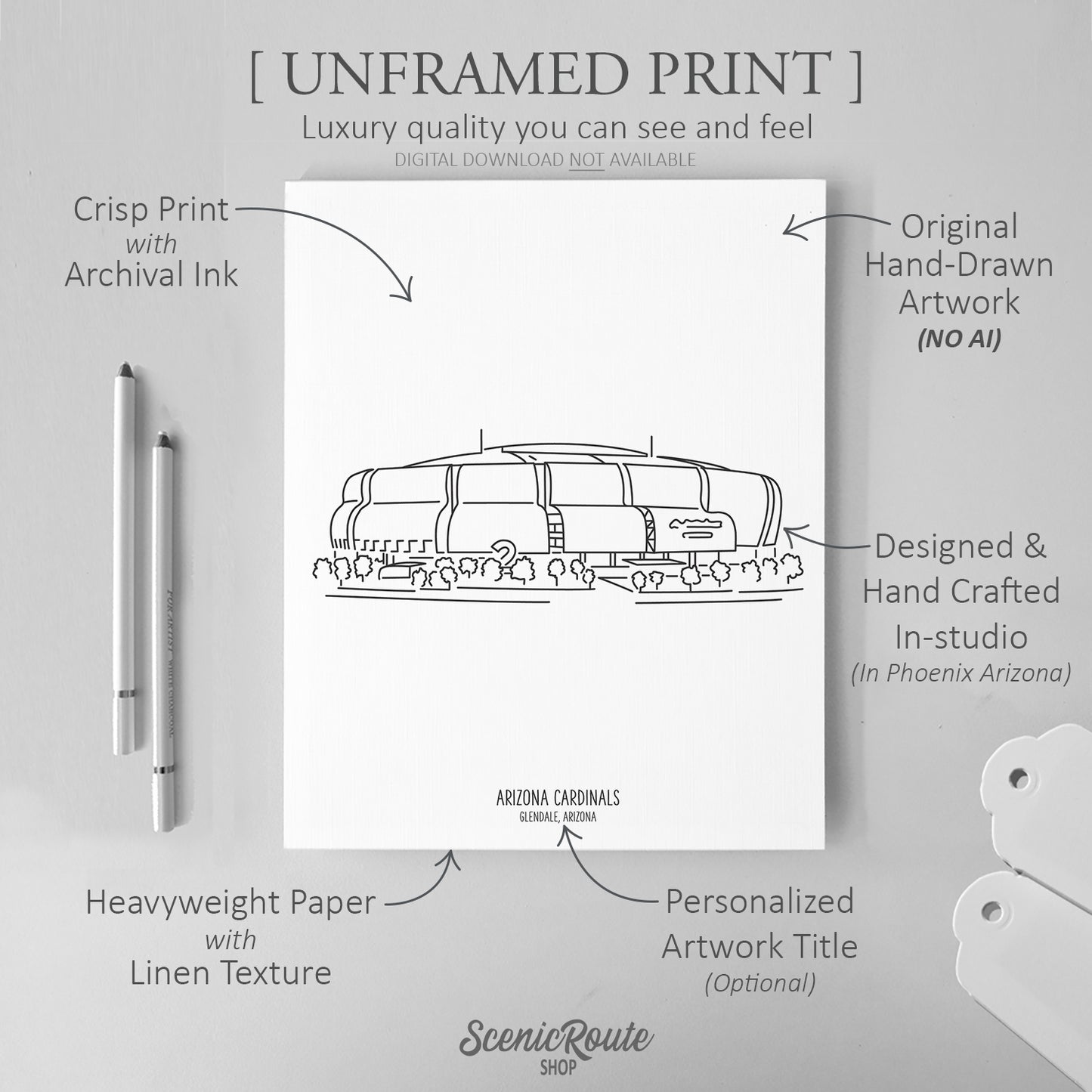 Arizona Cardinals Stadium Art Print