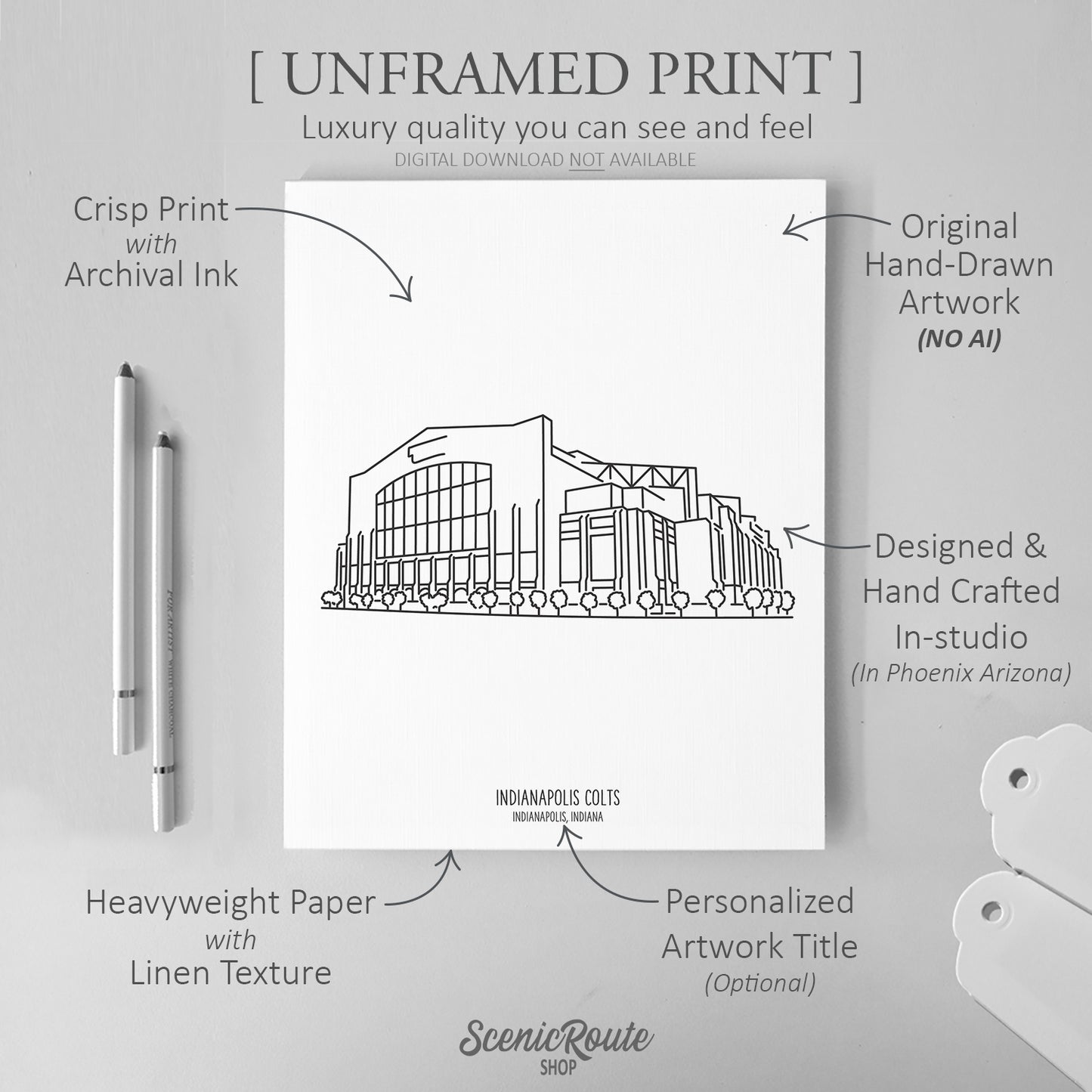 Indianapolis Colts Stadium Art Print