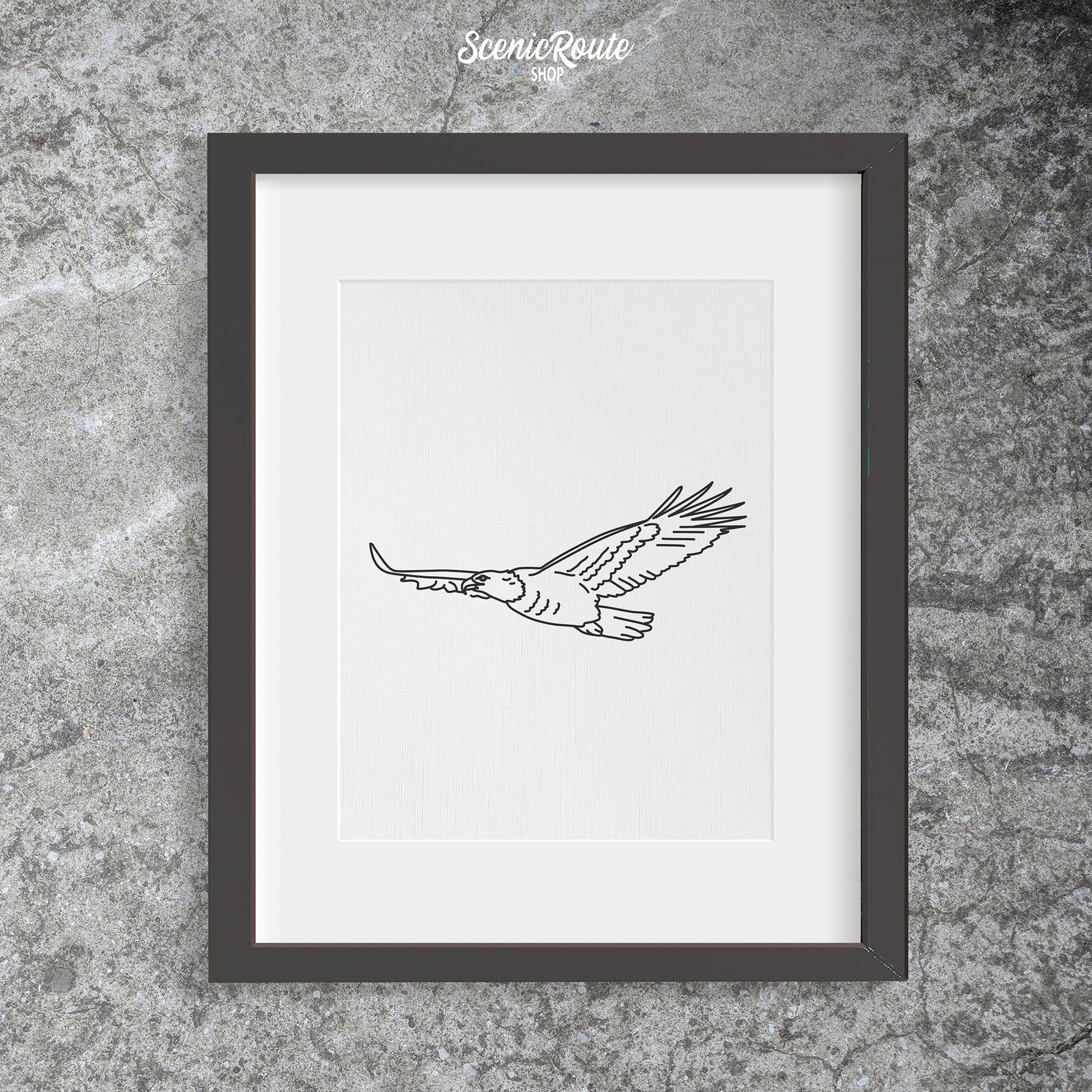 A framed line art drawing of an Eagle on a concrete wall