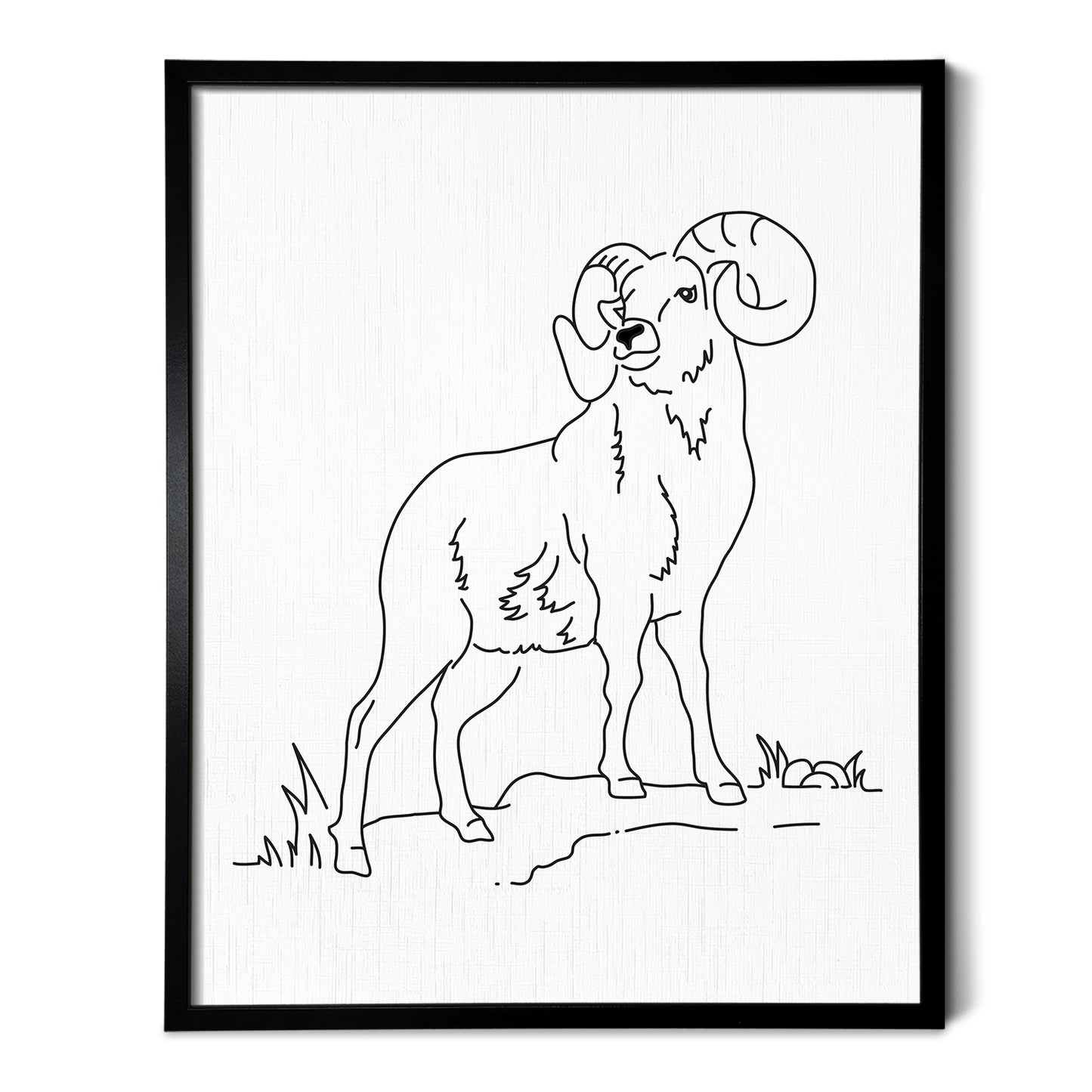 Longhorn Sheep Art Print