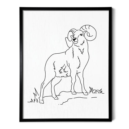 Longhorn Sheep Art Print
