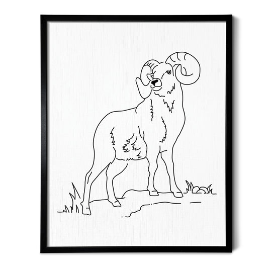 Longhorn Sheep Art Print